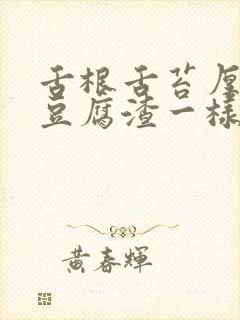 舌根舌苔厚腻像豆腐渣一样