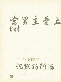 当男主爱上渣攻txt