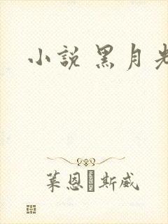 小说 黑月光