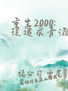 重生2000:从追求青涩校花同桌开始00