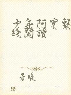 少年阿宾系列在线阅读