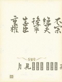 重生后绝不嫁给权臣宁芙宗肆大结局