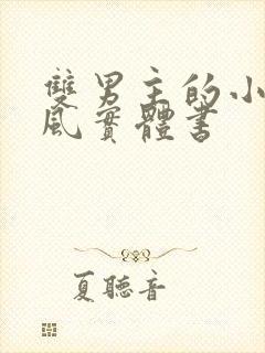 双男主的小说古风实体书