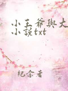 小王爷与大暗卫小说txt
