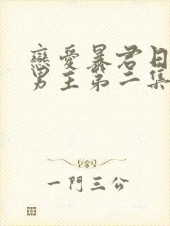 恋爱暴君日剧双男主第二集