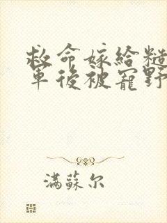 救命嫁给糙汉将军后被宠野了免费阅读