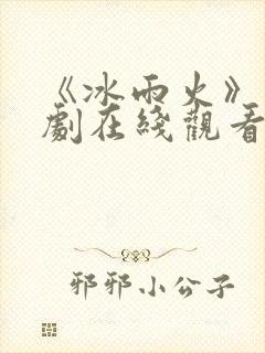 《冰雨火》电视剧在线观看完整版