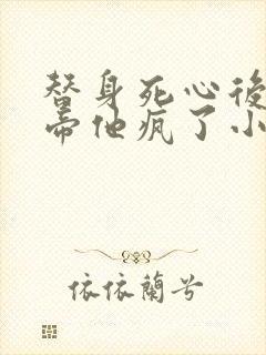 替身死心后,影帝他疯了小说