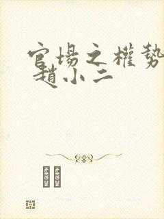 官场之权势滔天 赵小二