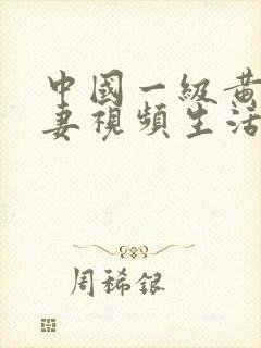 中国一级黄色夫妻视频生活片