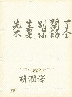 先生别闹了新娘不是你的全集完整版免费