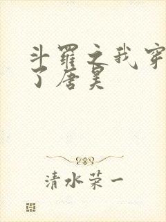 斗罗之我穿越成了唐昊