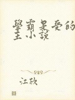 学霸是受的双男主小说