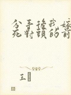 分手后我嫁给了死对头的前男友正版