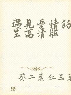 遇见爱情的利先生高清版