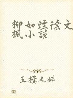 柳如烟徐文礼林枫小说