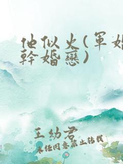 他似火(军婚高干婚恋)