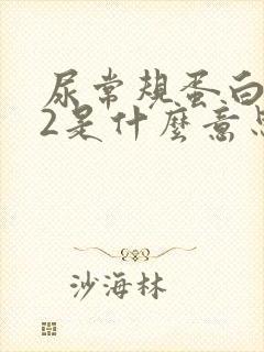 尿常规蛋白质+2是什么意思