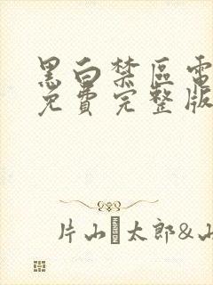 黑白禁区电视剧免费完整版观看全集