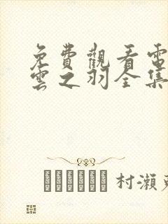 免费观看电视剧云之羽全集在线观看