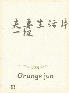 夫妻生活片黄色一级