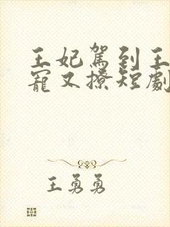 王妃驾到王爷又宠又撩短剧免费观看