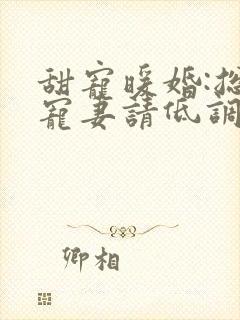 甜宠暖婚:总裁宠妻请低调 小说