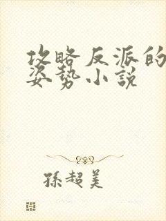 攻略反派的正确姿势小说