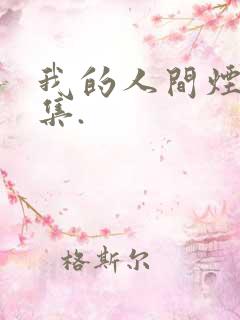 我的人间烟火全集.