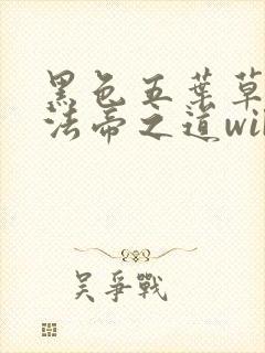 黑色五叶草m魔法帝之道wiki