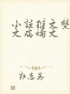 小说推文双男主文病娇文