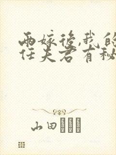 两嫁后,我的新任夫君有秘密林月鸣江升更