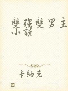 双强双男主现代小说