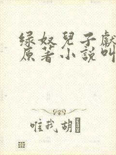 绿奴儿子献大宇原著小说叫什么名字