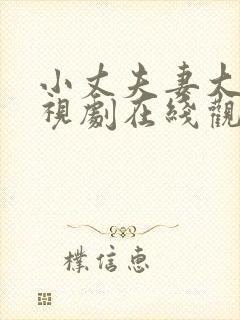 小丈夫妻大姐电视剧在线观看免费全集