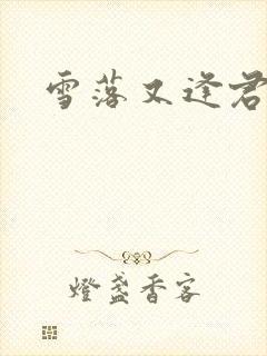 雪落又逢君短剧