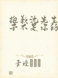 抱歉沈先生这孩子不是你的短剧免费观看