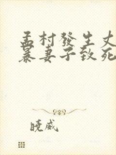 孟村发生丈夫家暴妻子致死事件视频