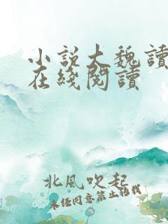 小说大魏读书人在线阅读