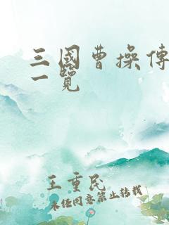 三国曹操传单挑一览