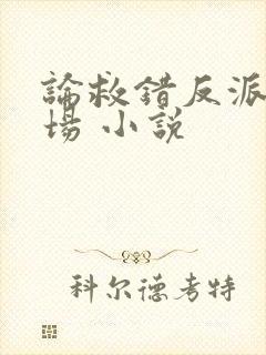 论救错反派的下场 小说