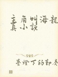 主角叫海龙的修真小说