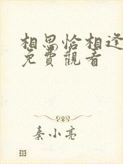 相思恰相逢短剧免费观看