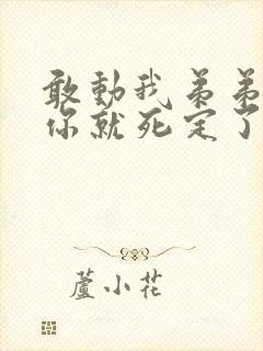 敢动我弟弟的话你就死定了漫画免费下拉式