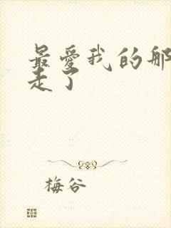 最爱我的那个人走了