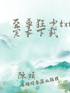 至尊狂少txt完本下载