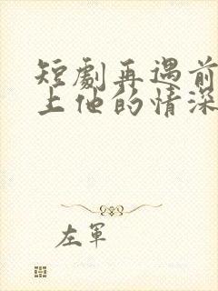 短剧再遇前任恋上他的情深在线观看