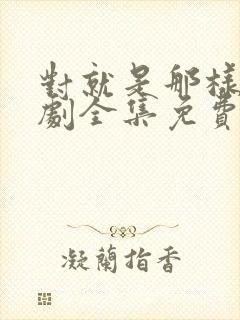 对就是那样电视剧全集免费观看国语版