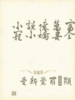 小说亿万富豪独宠小娇妻全文阅读