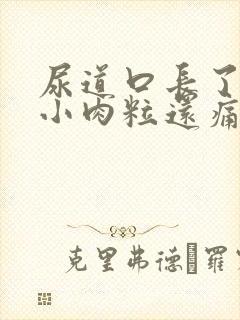 尿道口长了几个小肉粒还痛